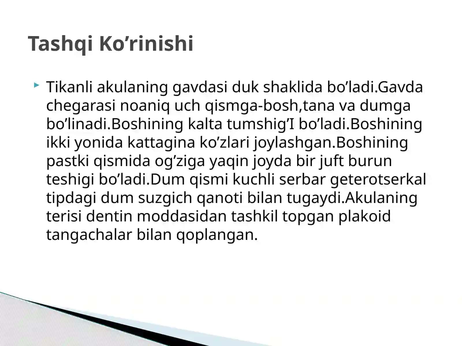 Tikanli Akaulaning Tashqi va Ichki Tuzilishi 3
