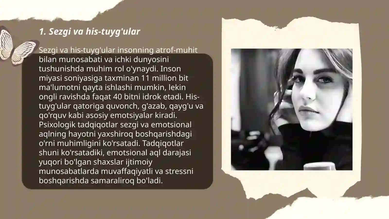 Sezgi 3