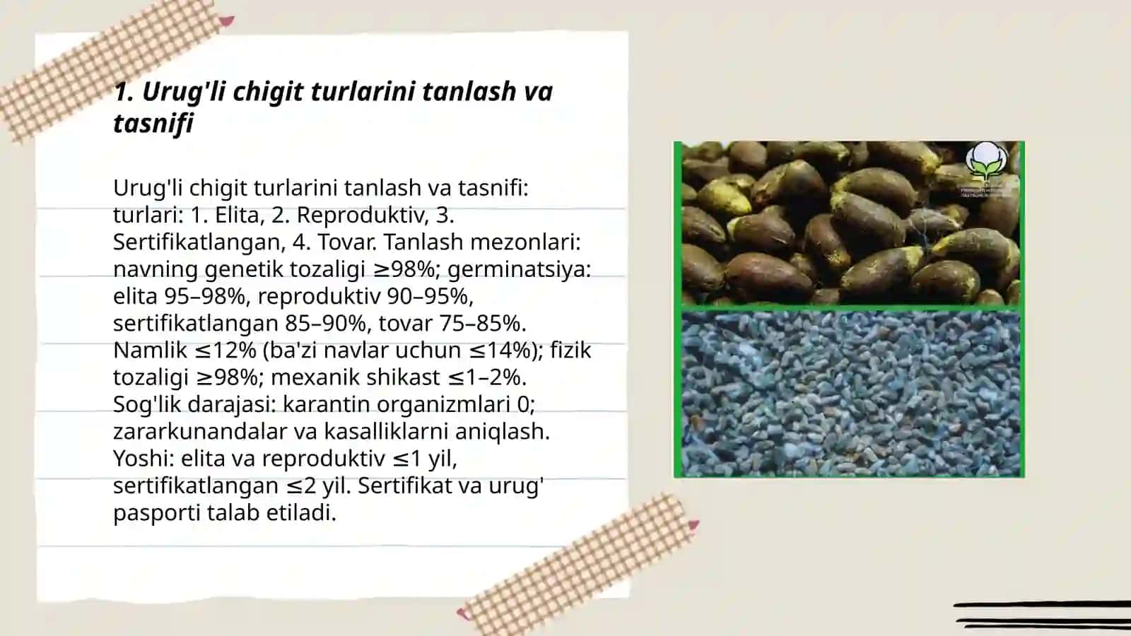 Urugli chigitlarni tayyorlash va ularga qoyiladigon talablar 3