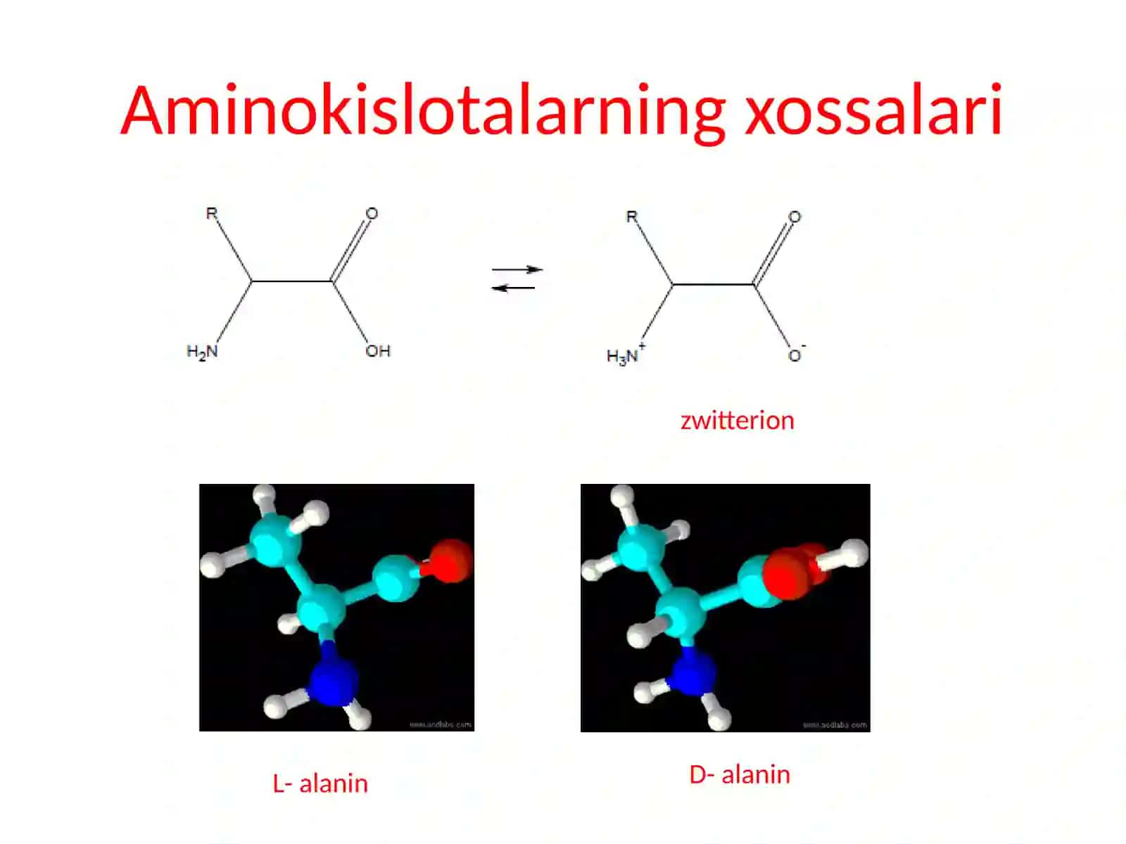 Oqsillarning tuzilishi, xossalari va funksiyalarining xilma-xilligi Ma'ruza konspekti 3