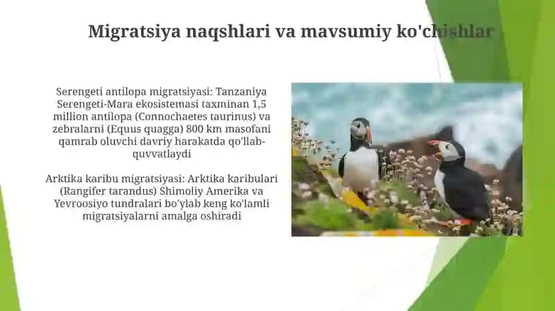Migratsiya naqshlari va mavsumiy ko'chishlar 3