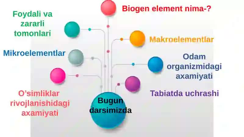 Biogenelementlar va ularning tirik organizmlardagi axamiyati 3
