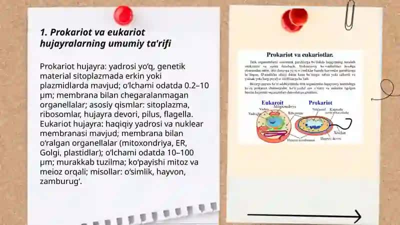Prokariot va eukariot hujayralarning umumiy tuzilishi 3