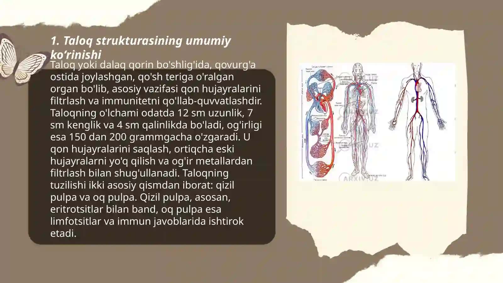 Taloqning tuzilishi 3