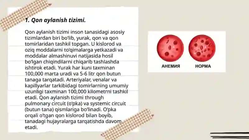 Qon va qon tomirlar sistemasi. Qon guruhi. Anemiya 3
