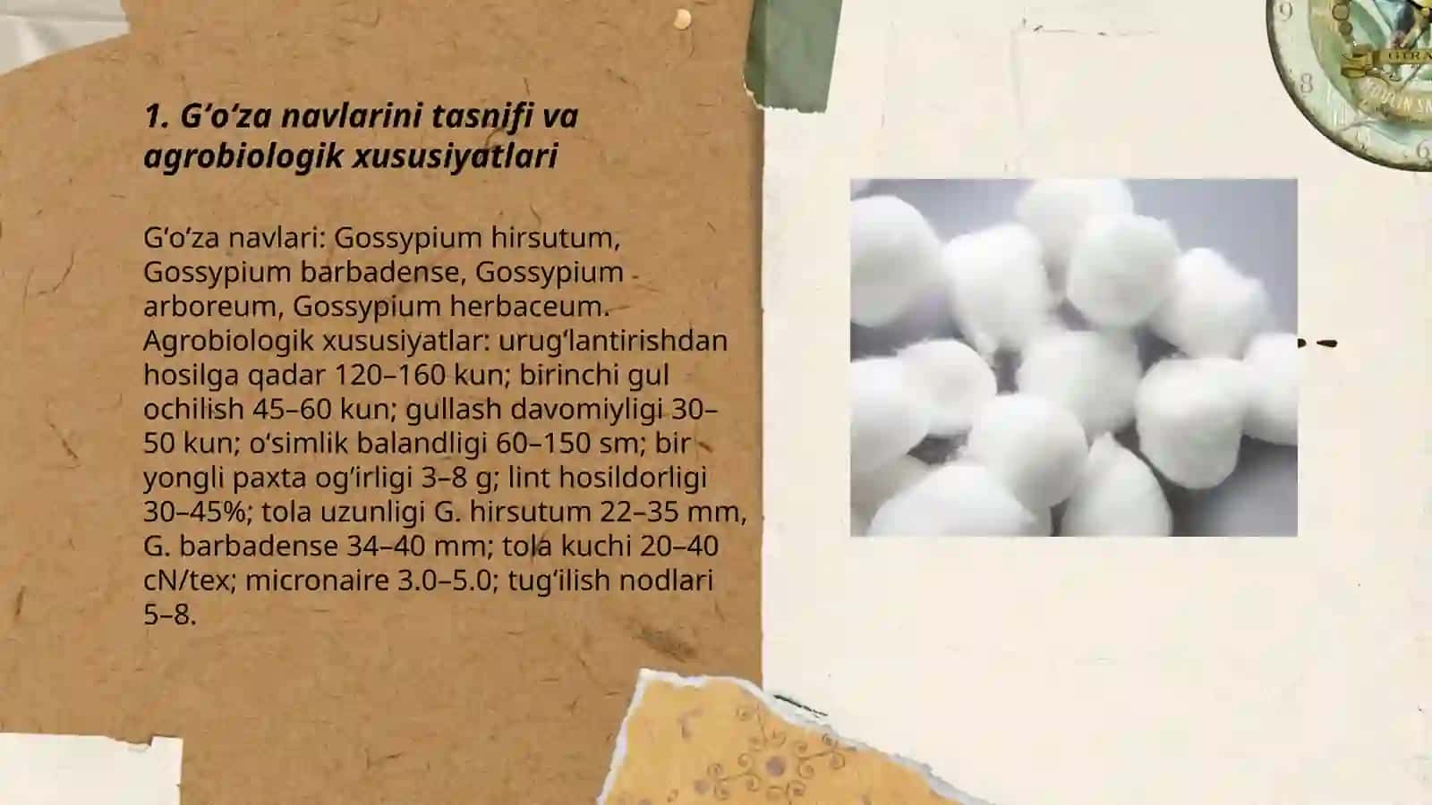 Gʻoʻza oʻsimliging turlari ulardan olinadigan mahsulotlarning sifat koʼrsatkichlarini aniqlash 3