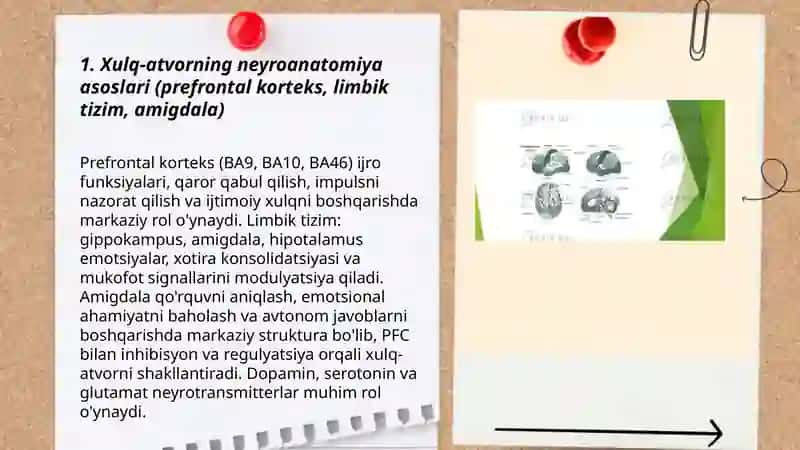 Xulq atvorning psixofiziologik asosi 3