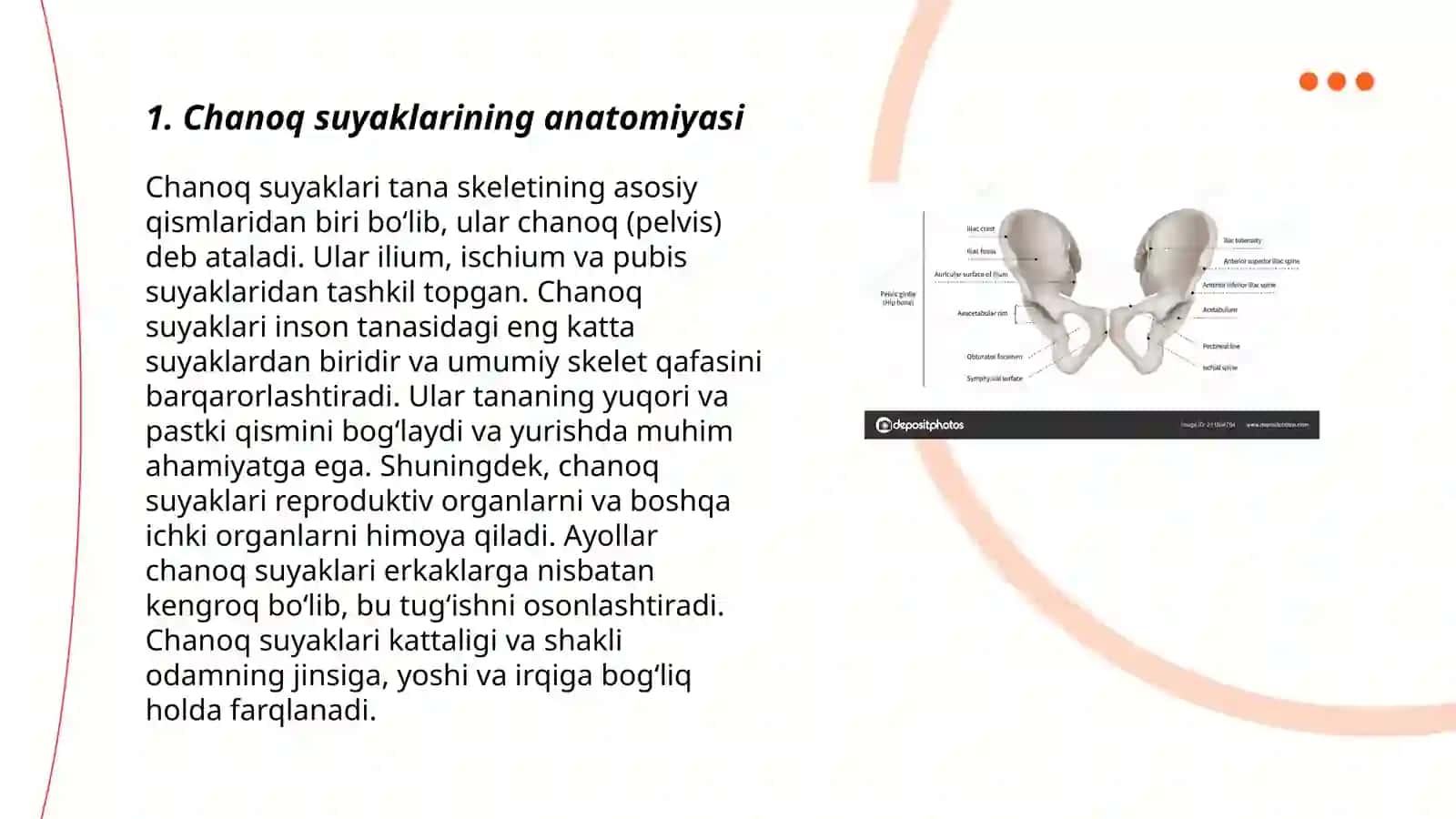 Chanoq kamari va oyoqning erkin suyaklari 3