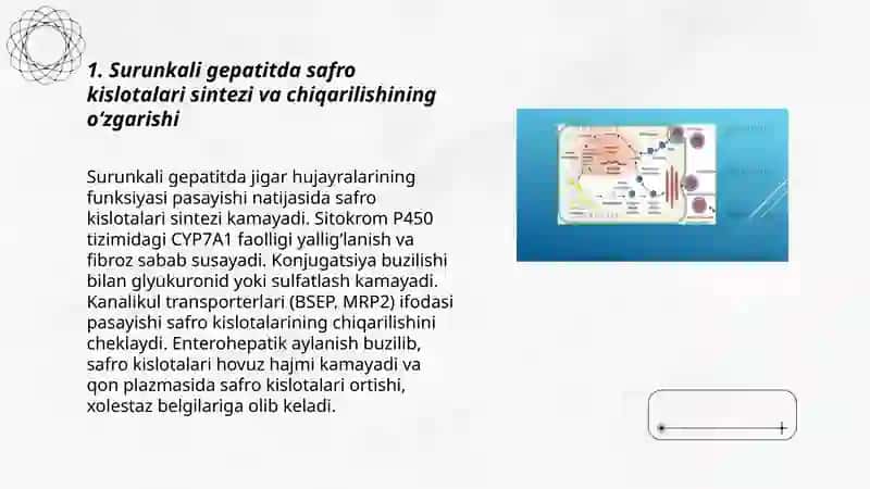 Surunkali gepatit va xoletsistitlarda yog'lar xazmlanishini buzilishi 3