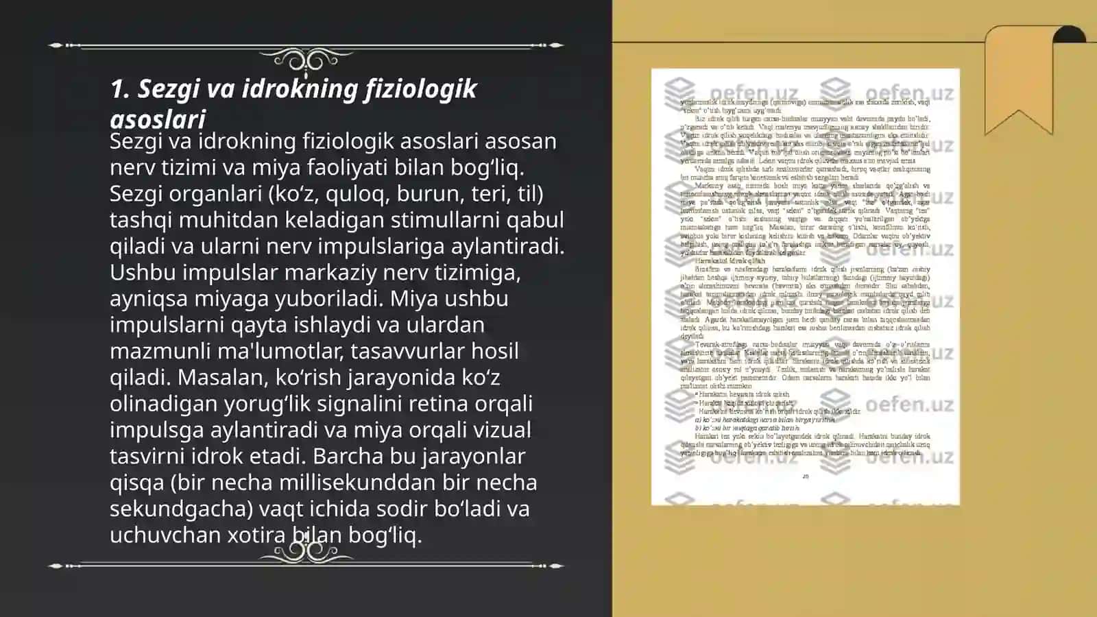 Sezgi va idrokning umumiy tushunchalari 3
