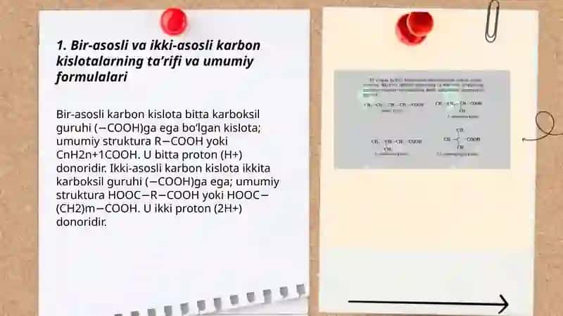 Bir va ikki asosli karbon kislotalar 3