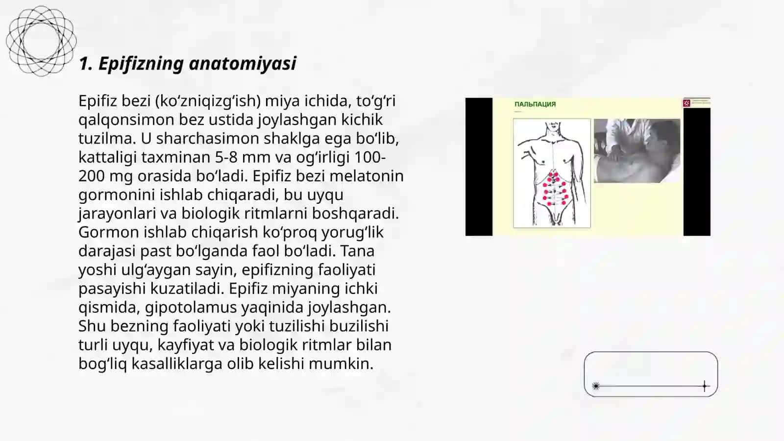 Ichki sekretsiya bezlarini tekshirish usullari. Epifiz 3