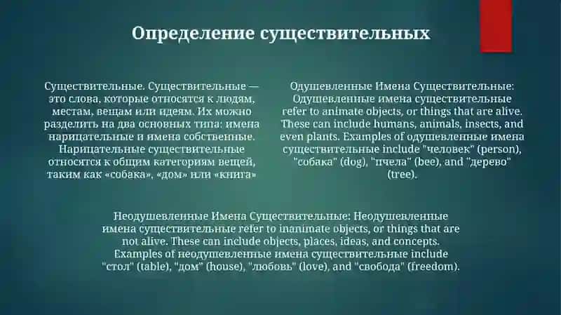 Одушевленные И Неодушевленные Имена Существительные 3