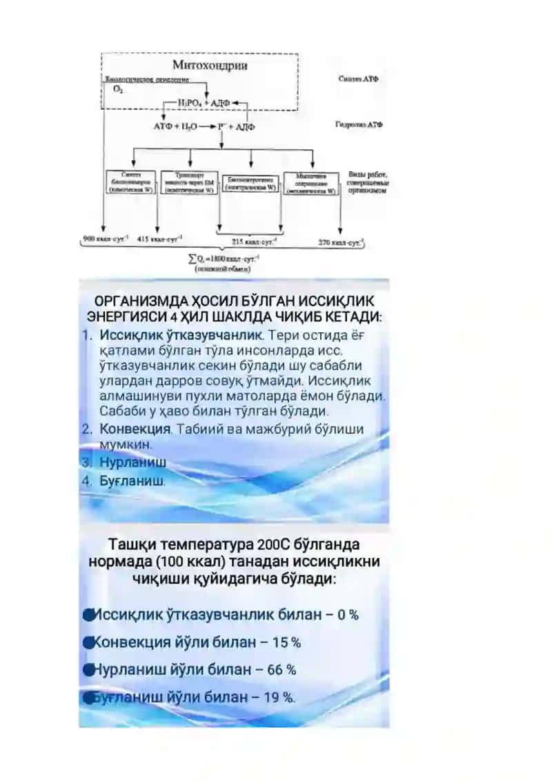 Termodinamika қонунларининг тирик организмга тадбиқини ўрганиш 3