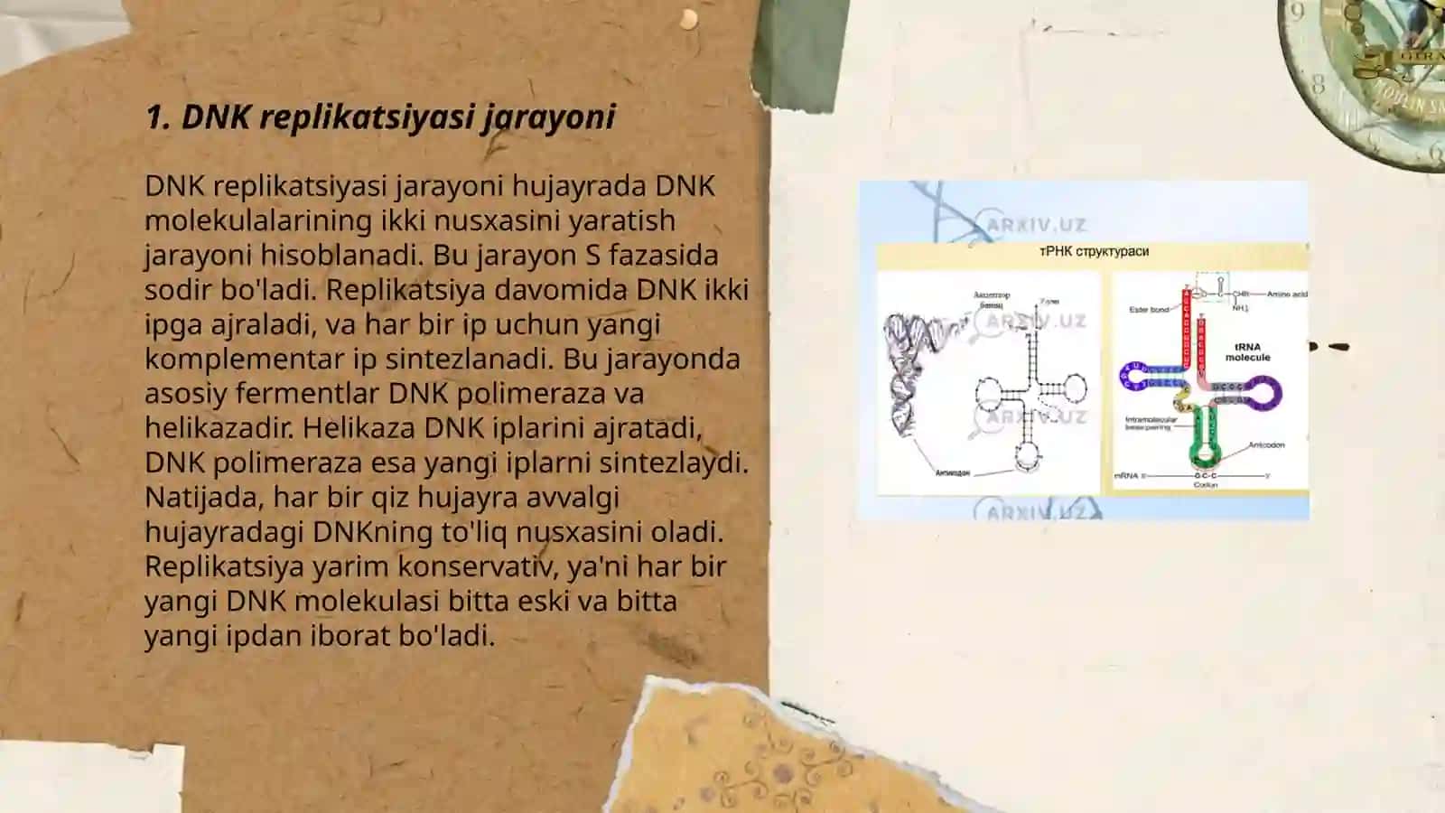 DNK, RNK va oqsil molekulalarining biosentezi 3