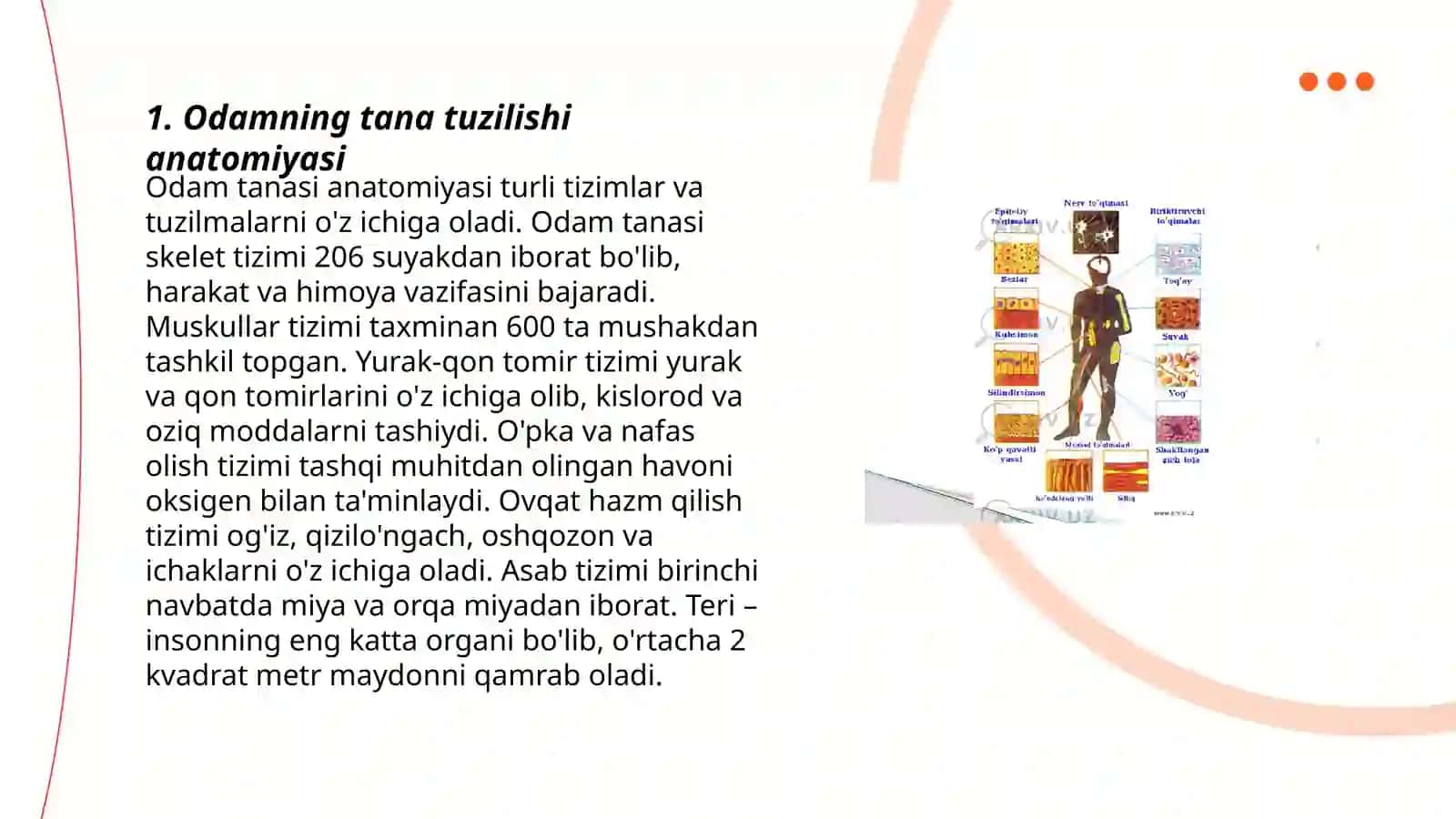 Odamning tana tuzilish tiplari 3