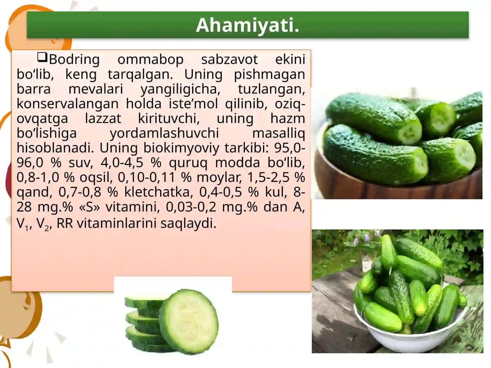Bodring va qovoqchali sabzavot ekinlari yetishtirish texnologiyasi 3