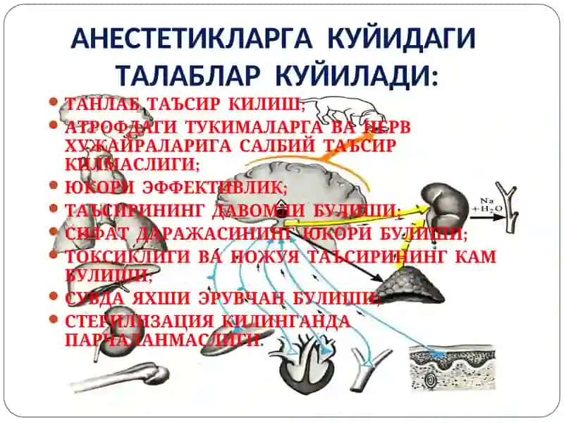 МАҲАЛЛИЙ АНЕСТЕТИКЛАР 3