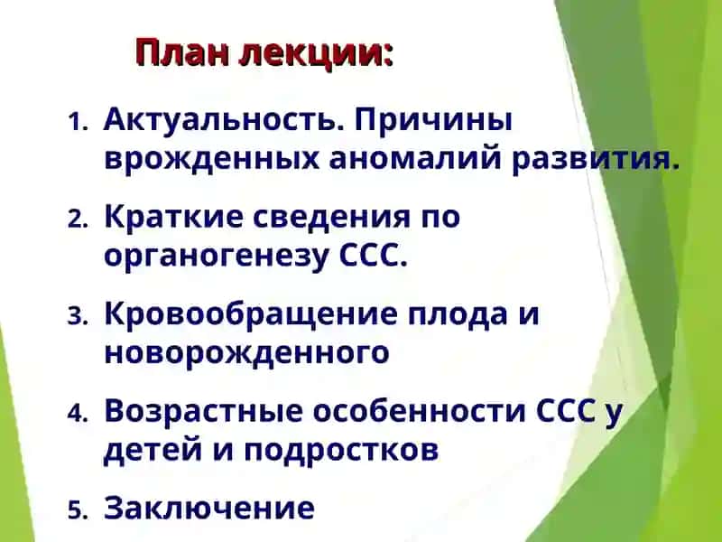 АНАТОМО-ФИЗИОЛОГИЧЕСКИЕ ОСОБЕННОСТИ СЕРДЕЧНО-СОСУДИСТОЙ СИСТЕМЫ У ДЕТЕЙ 3