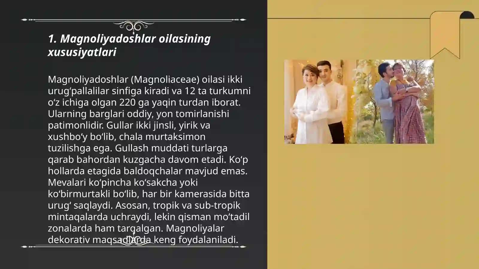 Magnoliyadoshlar oilasi 3