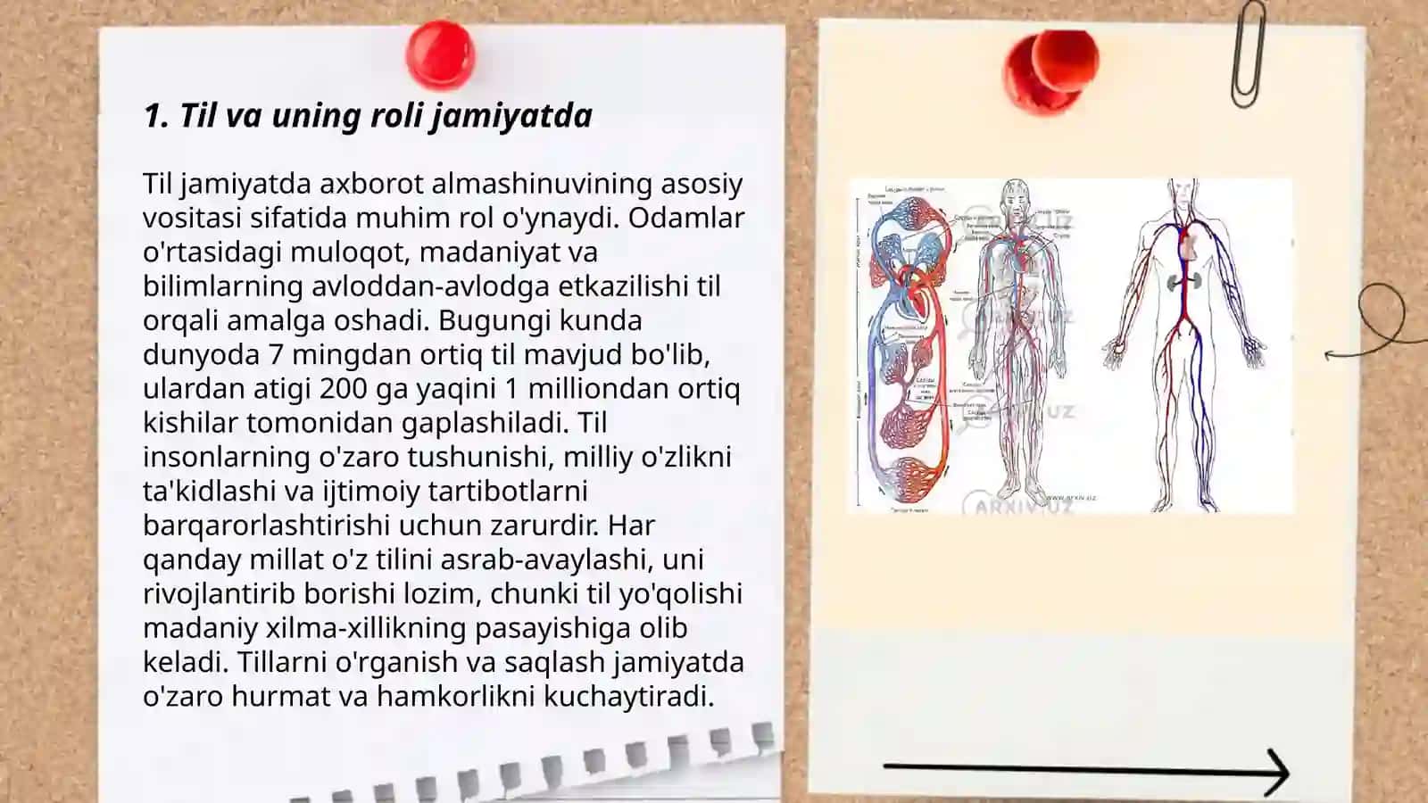 Til va uning paydo bo’lishi Davlatova O’g’iloy 3