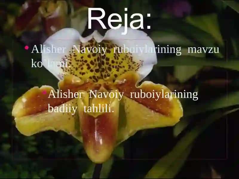 Alisher Navoiy – ruboiynavis 3