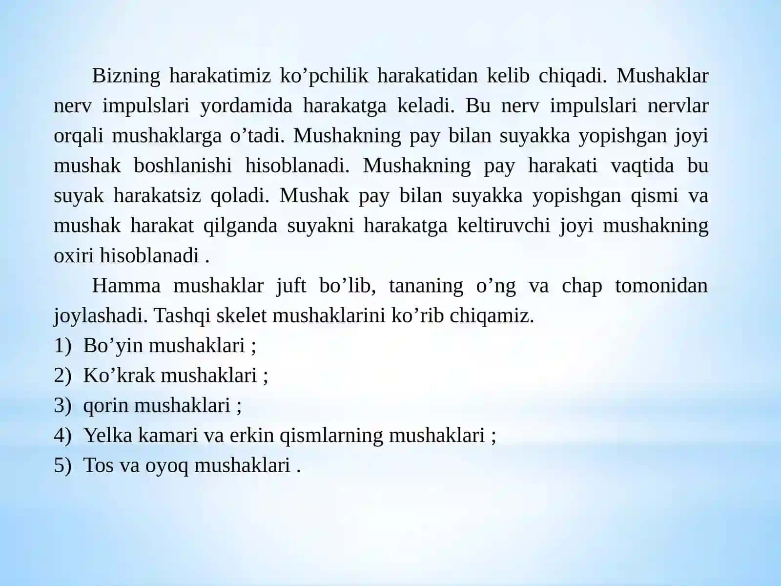 Tana mushaklari 3