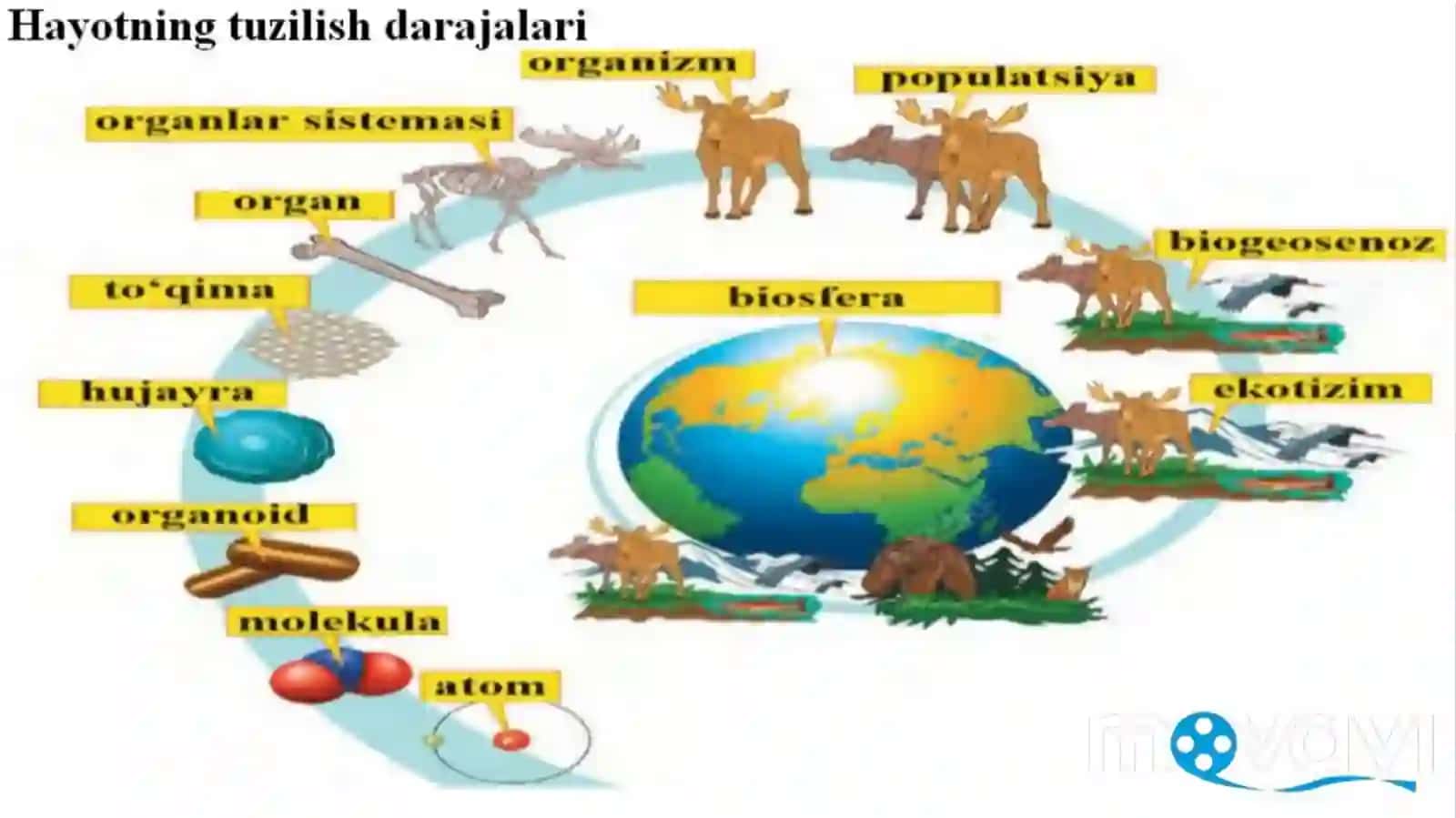 Biosfera darajasining xususiyatlari 3