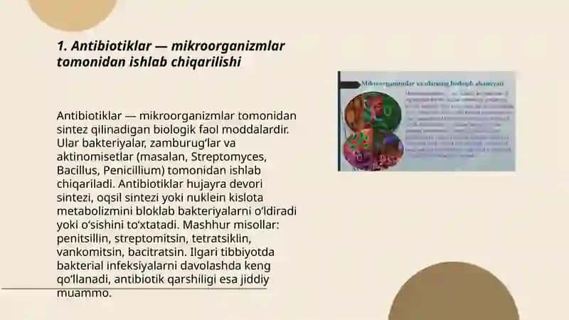 Mikroorganizmlarning hayot faoliyatida ishlab chiqaradigan mahsulotlari 3