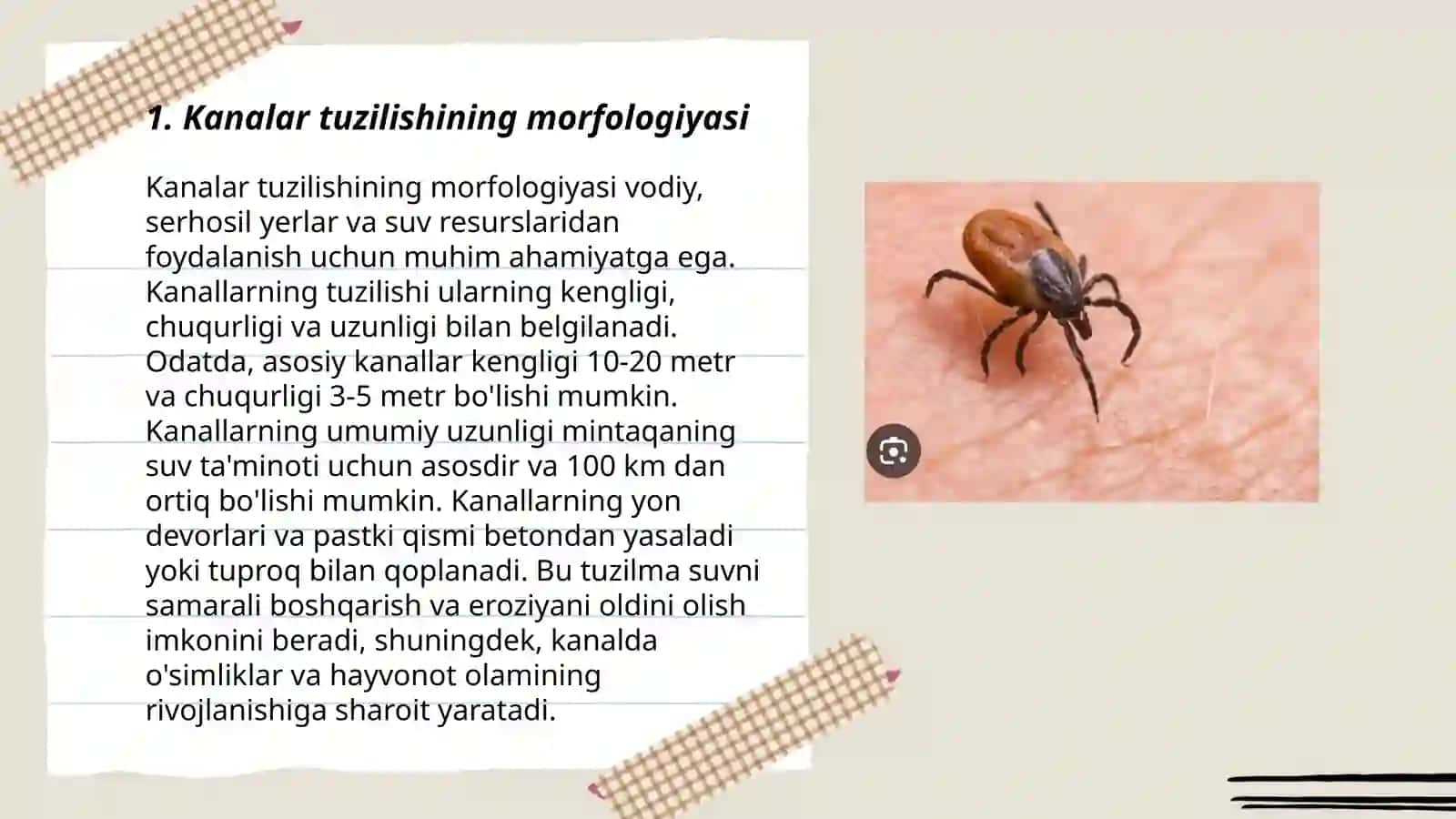 Kanalar tuzilishi 3