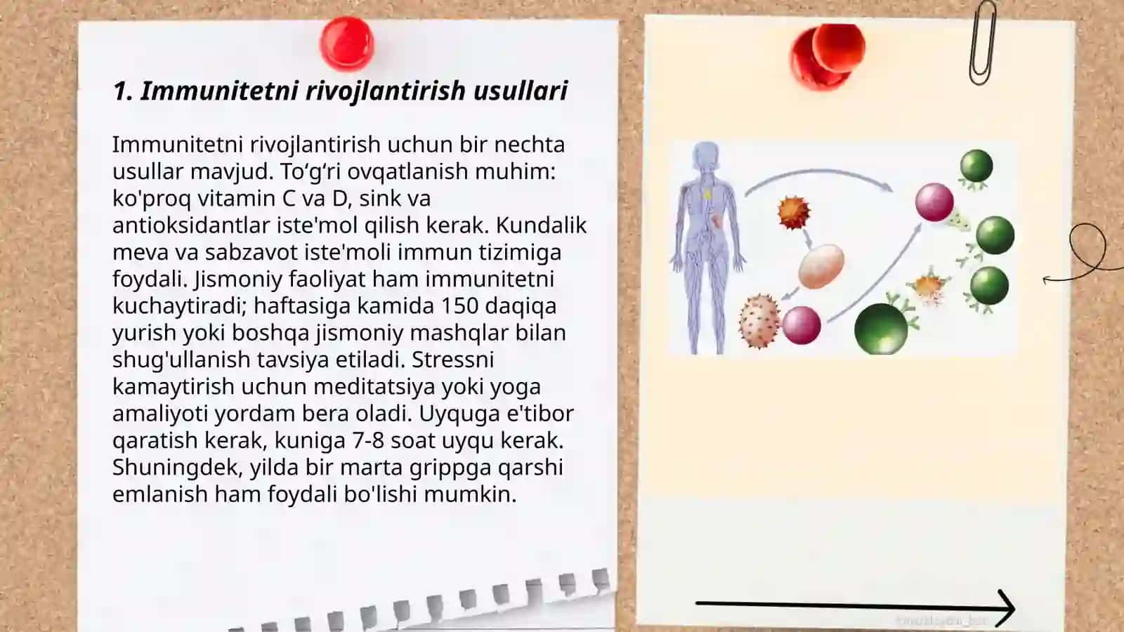 Immunitet va immun sistema 3
