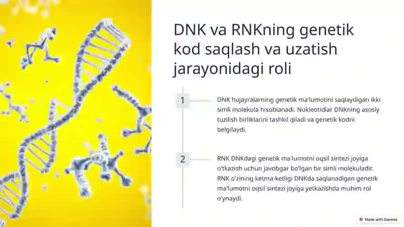 Nukleozidlar va Nukleotidlar 3