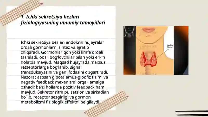 Ichki sekretsiya bezlari fiziologiyasi 3