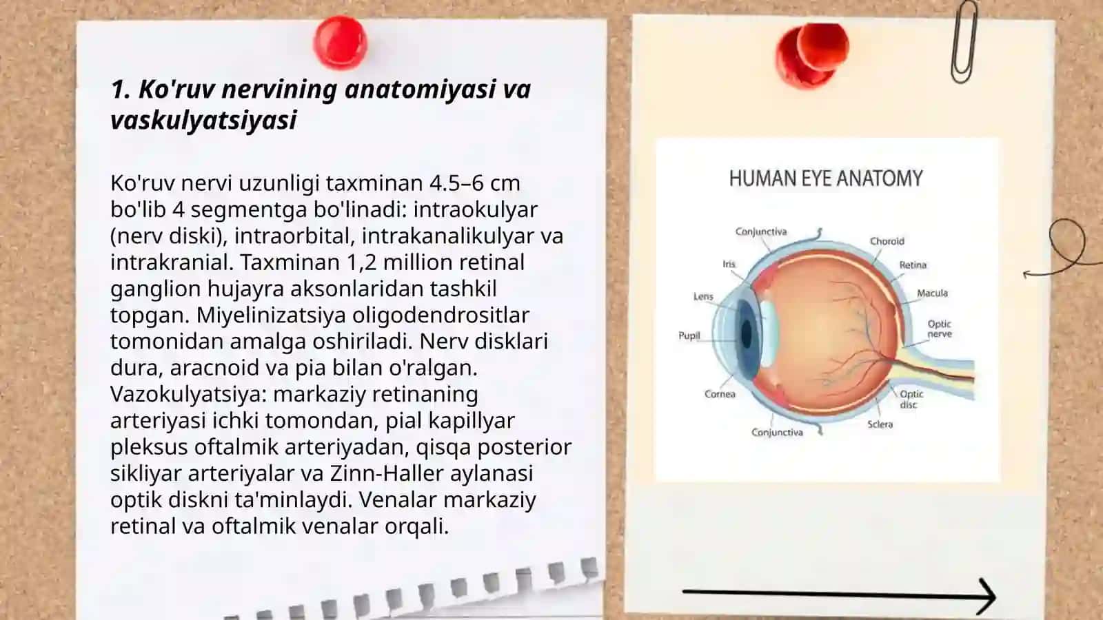 Ko'ruv nervi nevritlari(Optik nevritlari) 3