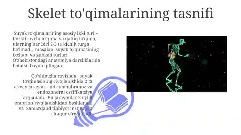 Skelet to'qimasi va tog'ay to'qimalarining tasnifi 3