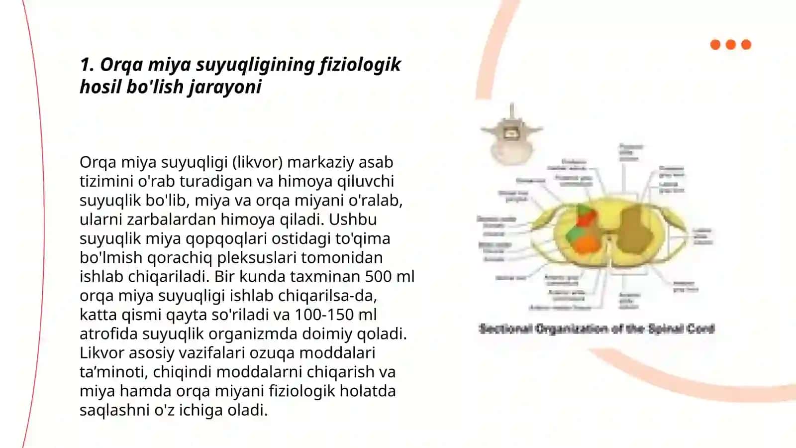 Orqa miya suyuqligi: hosil boʻlishi, tarkibi, klinik ahamiyati 3