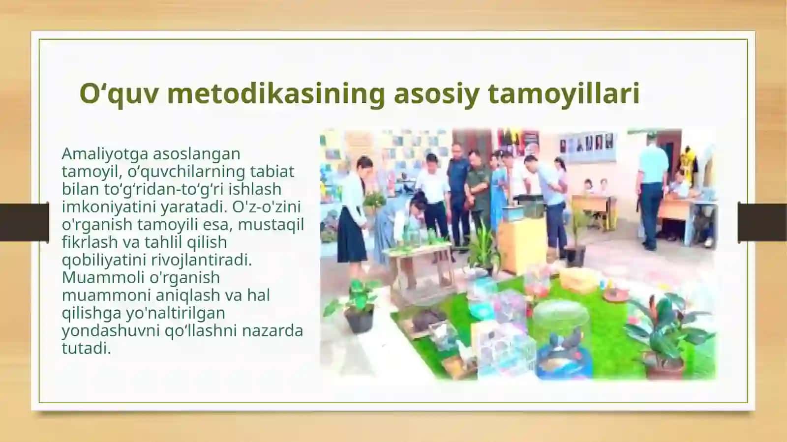 JoʻgʻrofiyamaydonchasitiriktabiatburchagioʻquvtajribauchastksidadarslarnioʻtkazishmetodikasiReja 3