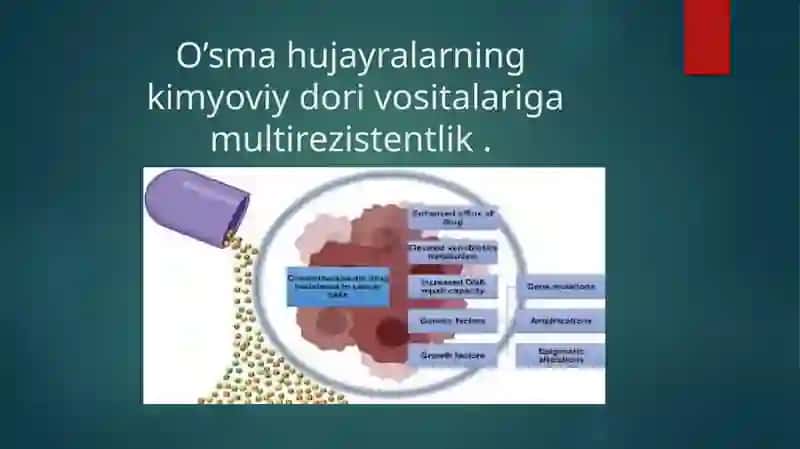 O’sma hujayralarning kimyoviy dori vositalariga multirezistentlik 3
