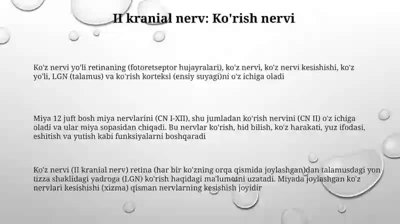 Bosh miya va undan chiquvchi 12 juft nervlar 3