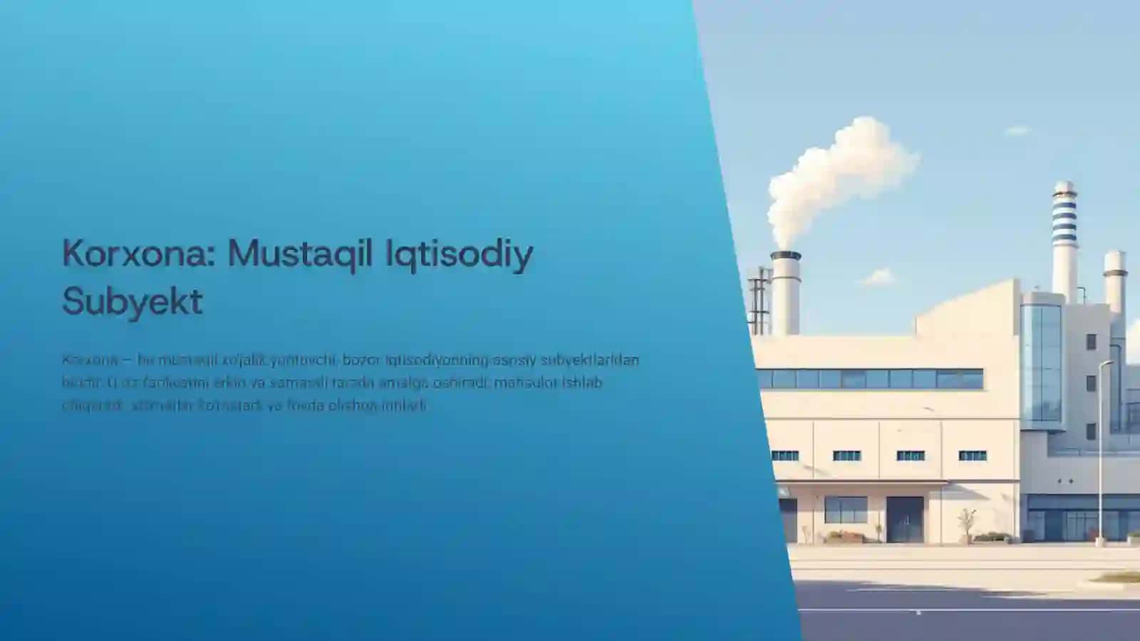 Korxona: Mustaqil Iqtisodiy Subyekt 3