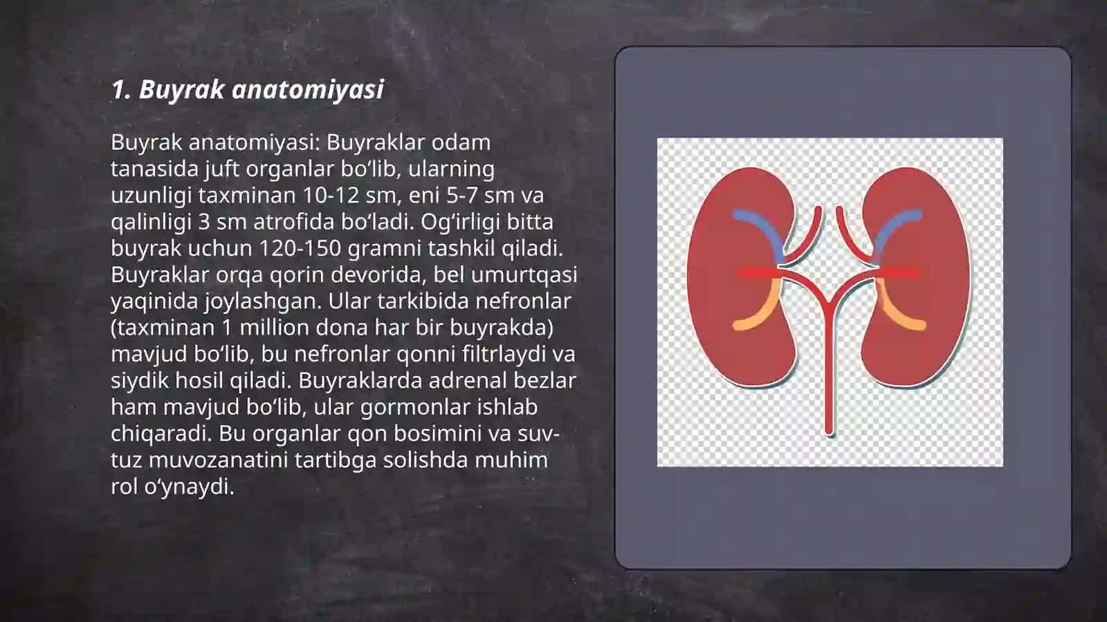 Buyrak 3
