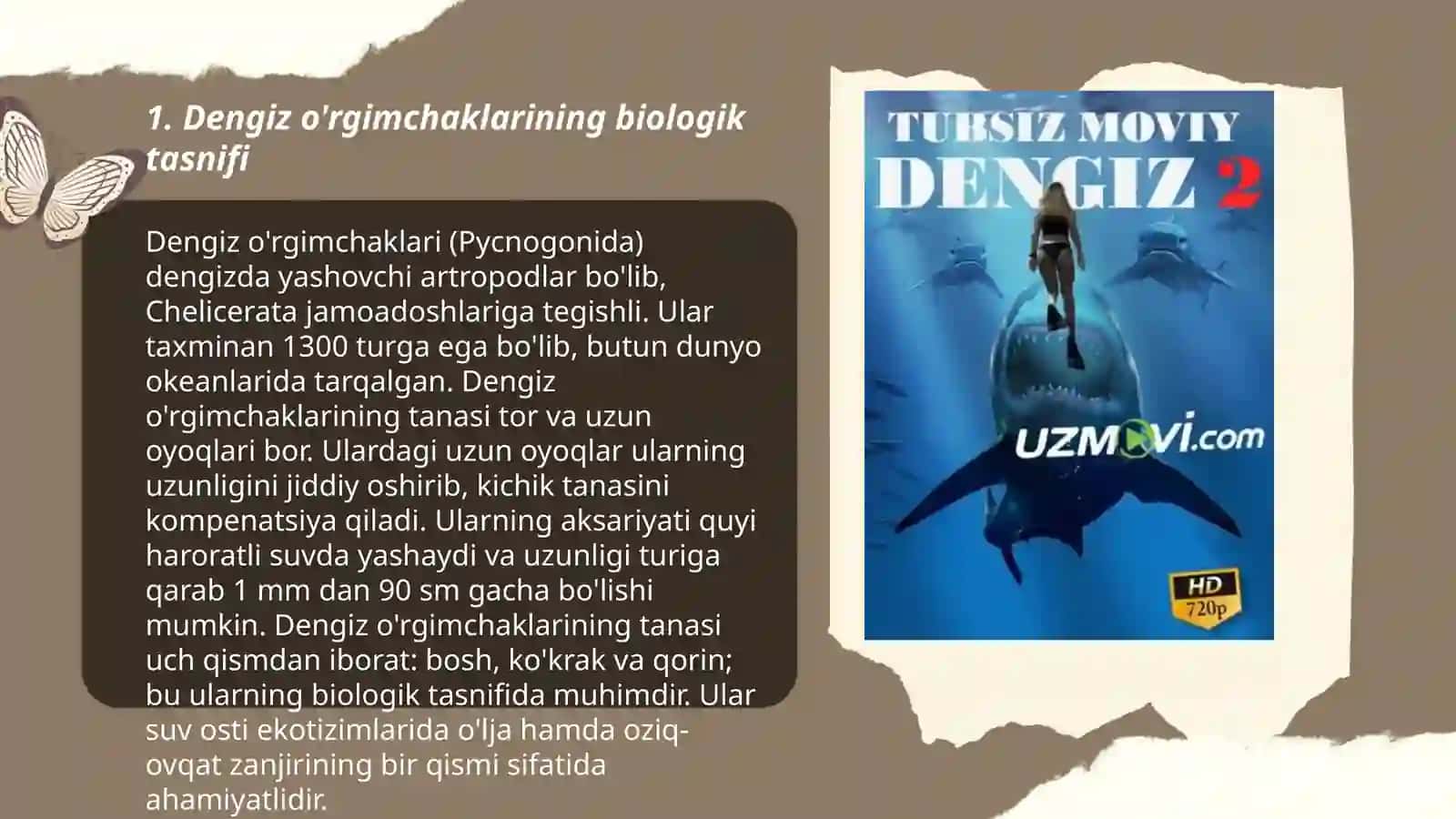 Dengiz o'rgimchaklar sinfi 3