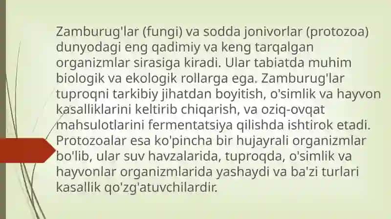 Zamburug'lar, sodda jonivorlar. Ularning morfologiyasi, strukturasi va ularni o'rganish usullari. 3