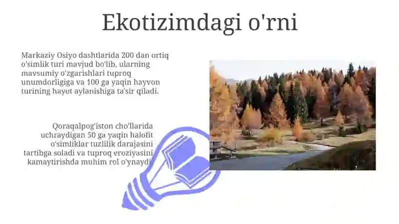O'simliklarda davrlar va mavsumiy hodislar 3