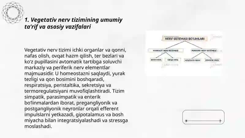 Vegetativ nerv tizimi haqida umumiy ma’lumotlar. Simpatik va parasimpatik nerv tizimining funksional anatomiyasi 3