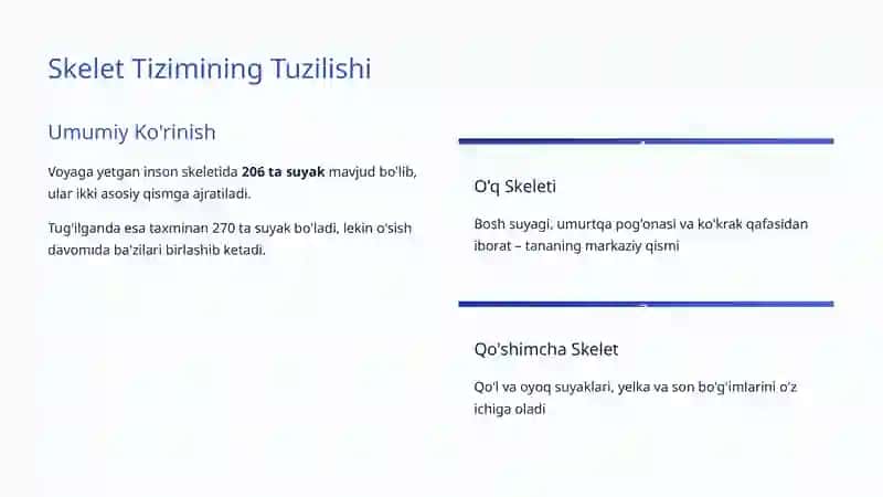 Skelet Tizimi: Inson Tanasi Asosiy Qo'llab-quvvatlovchi Tuzilishi 3
