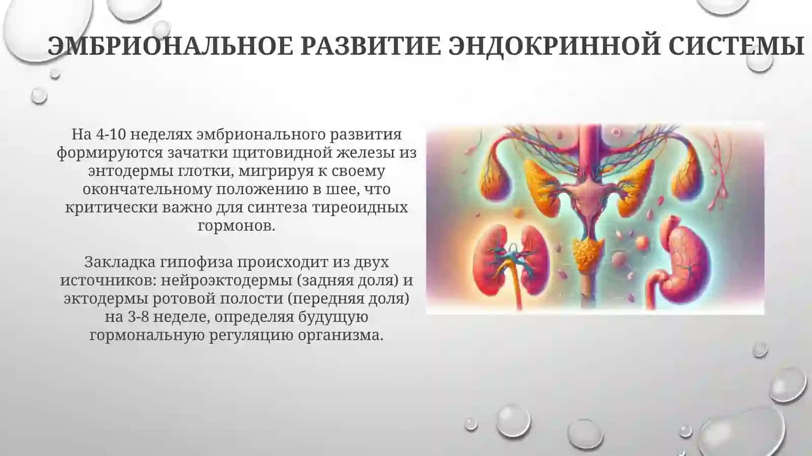 Пропедевтика детских болезней 3