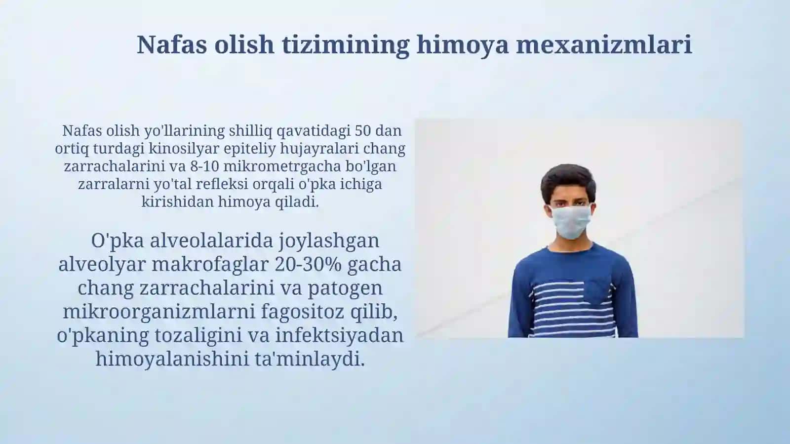 Nafas olish sistemasi haqida umumiy tushunchalar 3
