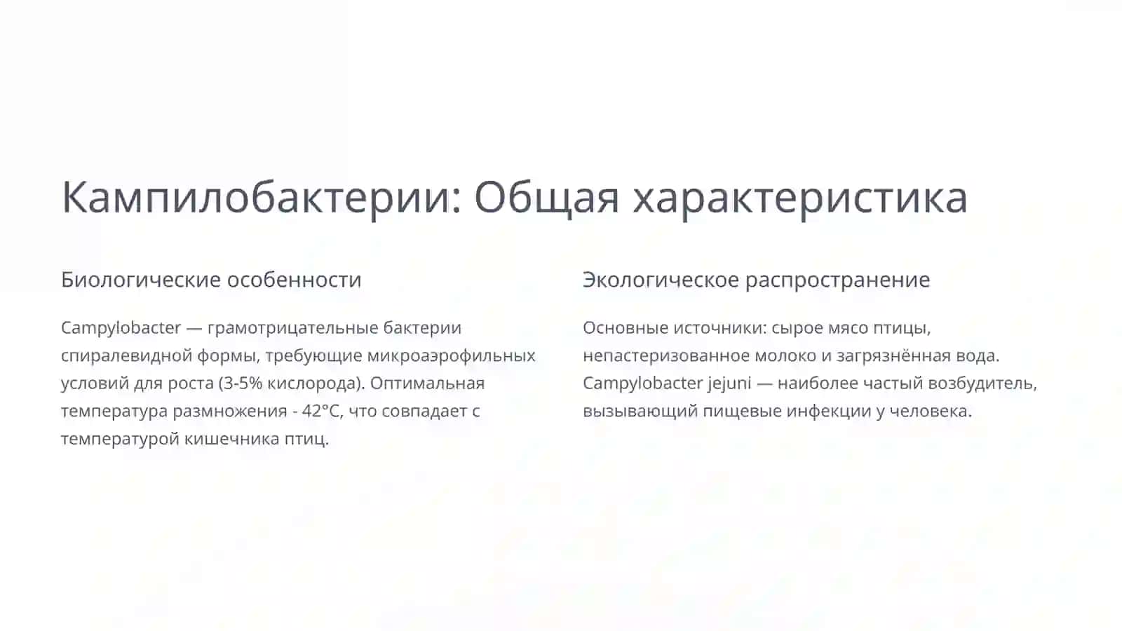Кампилобактерии и хеликобактерии: Практическое значение 3
