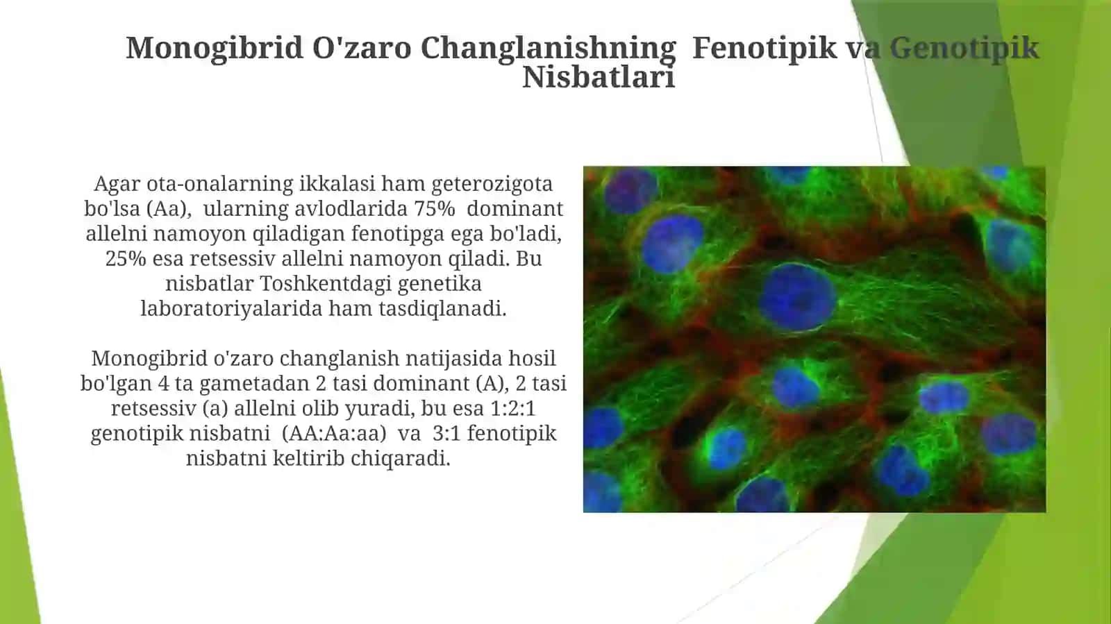 Monogibrid O'zaro Changlanish 3